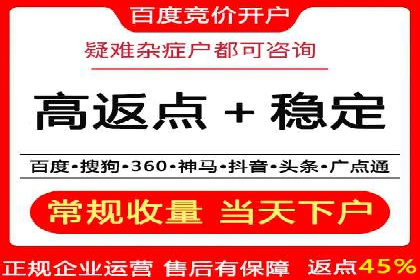 网络推广秘籍：竞价排名成功案例集锦